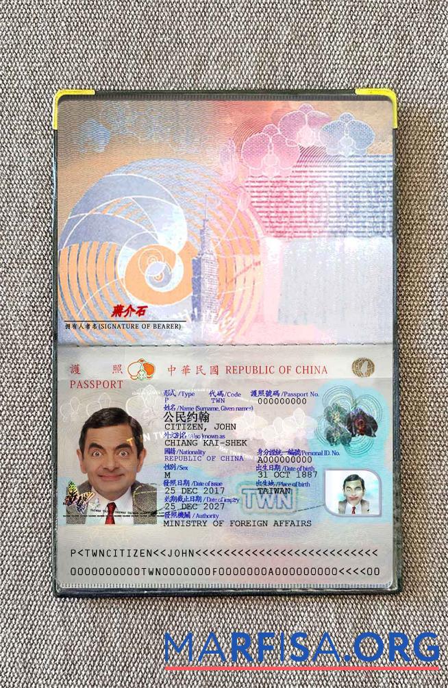 Downloadable Taiwan Pass 2021 present photo look sample